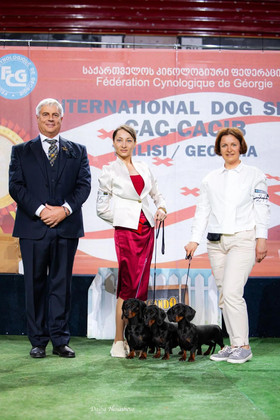 KOSTA FELICITAS